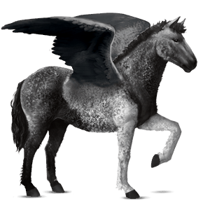 pegasus-reitpferd argentinischer criollo dunkelfuchs