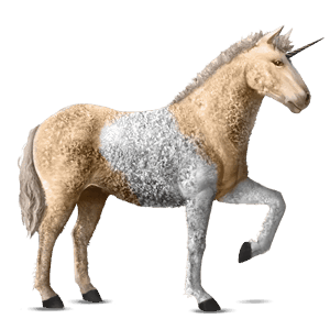 einhorn-reitpferd curly horse falbe