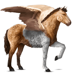 pegasus-reitpferd rappe