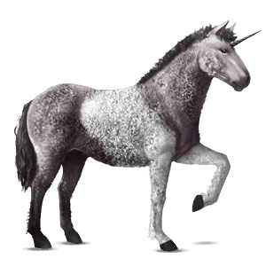 einhorn-reitpferd curly horse fuchs