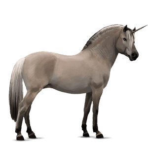 einhorn-pony shetlandpony cremello