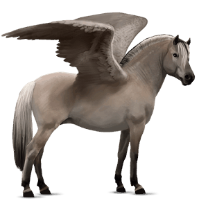 pegasus-pony graufalben