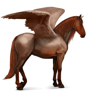 pegasus-reitpferd araber roan