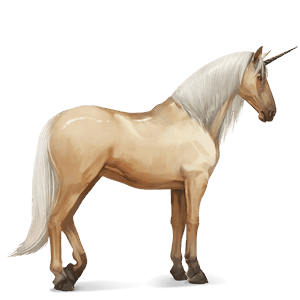 einhorn-reitpferd andalusier palomino