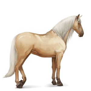 reitpferd cremello