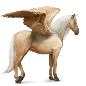 pegasus-reitpferd dunkelbrauner