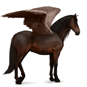 pegasus-reitpferd andalusier dunkelfuchs