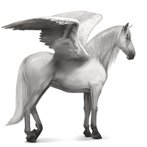 pegasus-reitpferd hellgrau