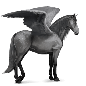 pegasus-reitpferd apfelschimmel