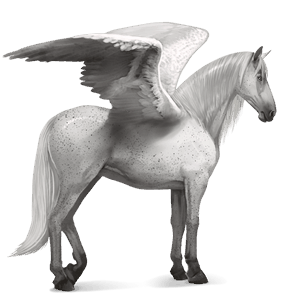 pegasus-reitpferd mangalarga marchador hellgrau