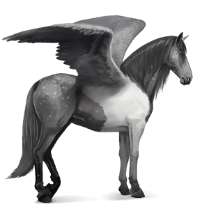 pegasus-reitpferd dunkelfuchs