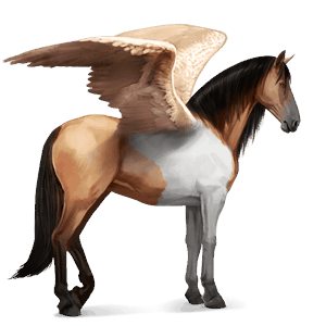 pegasus-reitpferd lusitano dunkelbrauner