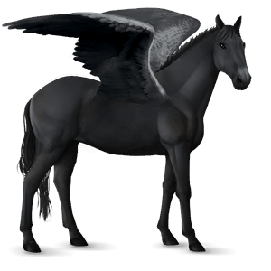 pegasus-reitpferd andalusier rappe