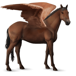 pegasus-reitpferd selle français brauner