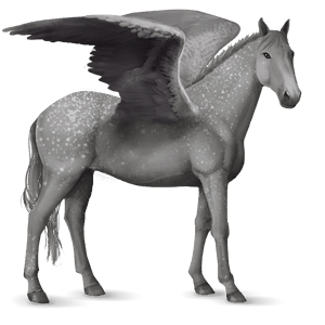 pegasus-reitpferd finne rappe