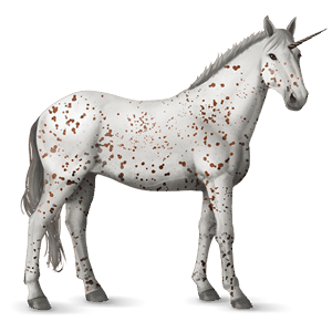 einhorn-reitpferd curly horse dunkelfuchs