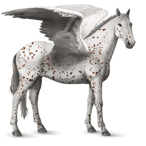 pegasus-reitpferd brauner leopard