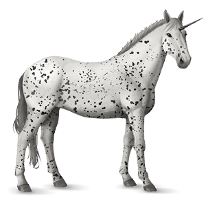 einhorn-reitpferd schwarzer leopard