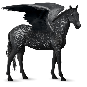 pegasus-reitpferd knabstrupper schwarze schneeflocke