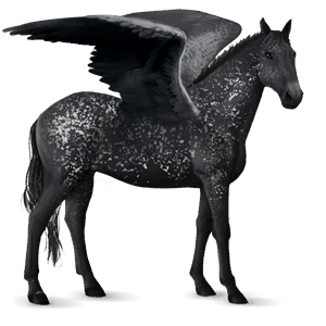 pegasus-reitpferd argentinischer criollo hellgrau