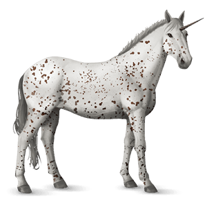 einhorn-reitpferd brauner leopard