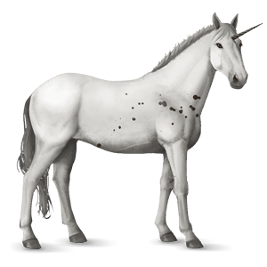 einhorn-reitpferd curly horse dunkelfuchs