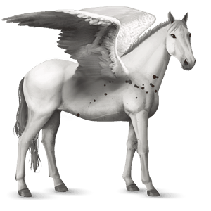 pegasus-reitpferd hellgrau