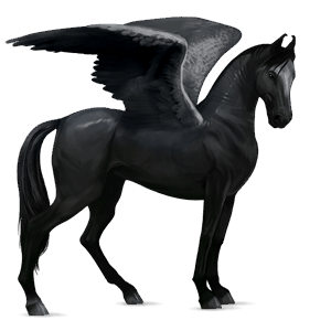 pegasus-reitpferd dunkelfuchs