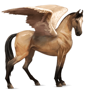 pegasus-reitpferd araber hellgrau