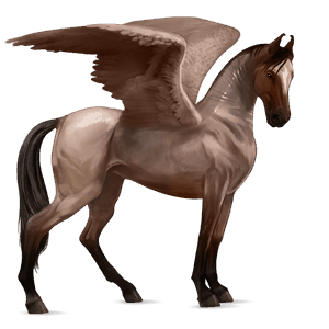 pegasus-reitpferd rappe