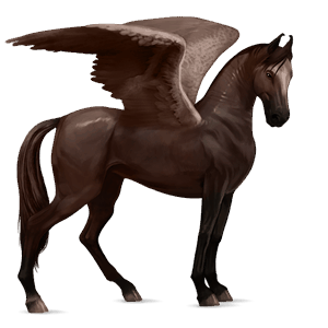 pegasus-reitpferd marwari dunkelfuchs