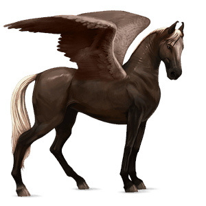 pegasus-reitpferd argentinischer criollo rappschecke