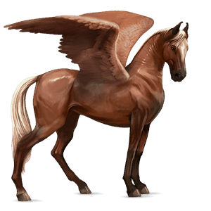 pegasus-reitpferd argentinischer criollo fuchs