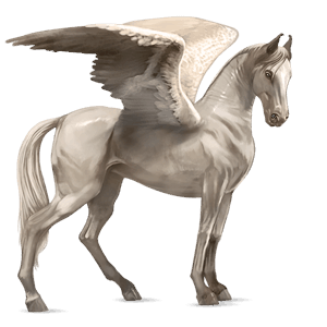 pegasus-reitpferd marwari cremello