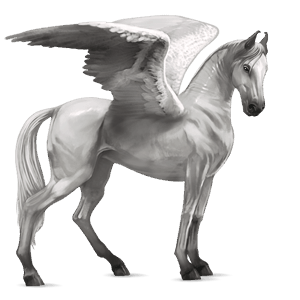 pegasus-reitpferd araber apfelschimmel