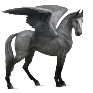 pegasus-reitpferd apfelschimmel