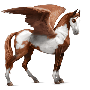 pegasus-reitpferd overo-fuchsschecke