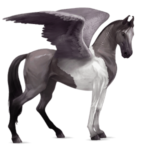 pegasus-reitpferd mausgrau