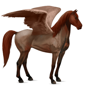 pegasus-reitpferd selle français dunkelbrauner