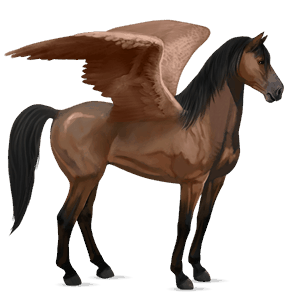 pegasus-reitpferd selle français dunkelbrauner