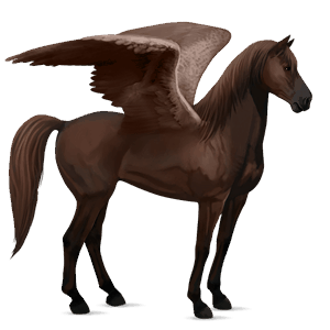 pegasus-reitpferd dunkelfuchs