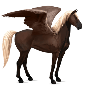 pegasus-reitpferd dunkelbrauner