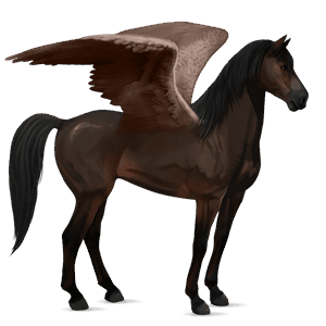 pegasus-reitpferd mustang dunkelbrauner