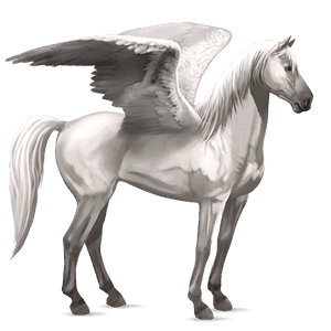 pegasus-reitpferd hellgrau