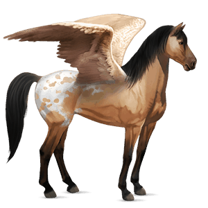 pegasus-reitpferd dunkelbrauner