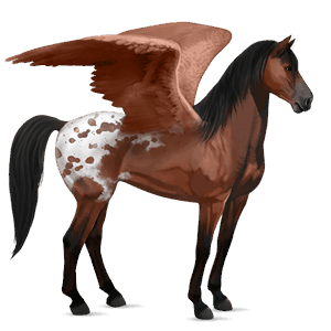 pegasus-reitpferd achal-tekkiner dunkelbrauner