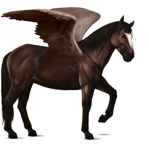 pegasus-reitpferd araber dunkelfuchs