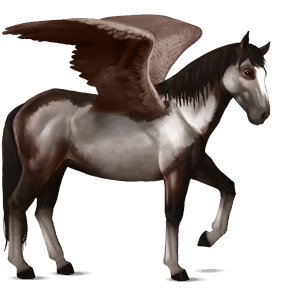 pegasus-reitpferd dunkelbrauner