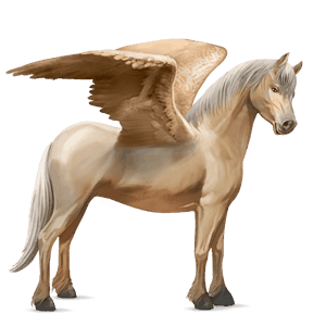 pegasus-pony connemara-pony roan