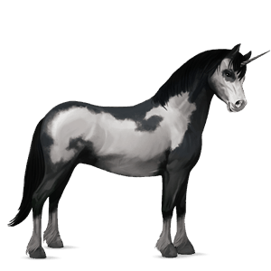 einhorn-pony brauner